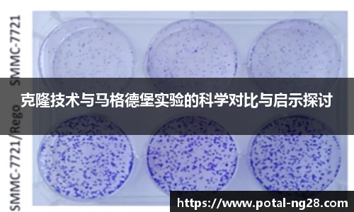 南宫28娱乐