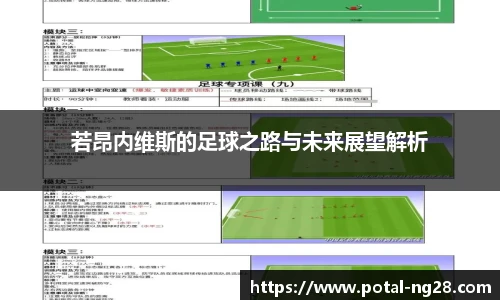 若昂内维斯的足球之路与未来展望解析