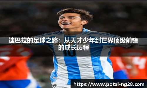 南宫28娱乐